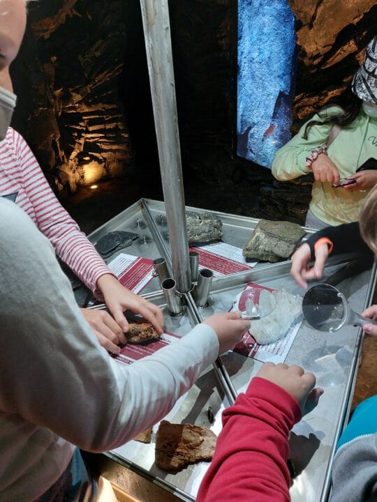 20210929 101904 540x720